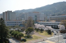 순천대 건축학부, 전라남도 미술대전 수상