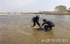 금강에서 7년간 사라졌던 멸종위기 민물고기가 찾아왔다