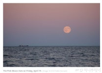 밤하늘 분홍빛 핑크문 오늘 오후8시 뜬다