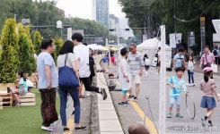 [사진]보행로로 변신한 차도