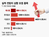 변동장서 믿을 건 실적…에스엘·롯데칠성 등 주목