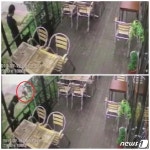 패대기치고 사료에 세제까지…경의선 숲길 고양이 잔혹 살해한 남성