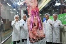 소 한마리 무게 1.2톤…슈퍼한우 기록 깼다