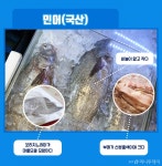 [바다정보다잇다] 내가 먹은 게 민어가 아닐 수도 있다? 진짜 민어 구별법