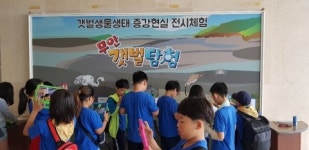 프로벳디앤피(주) | 디앤피코퍼레이션, ‘AR 전시체험’ 시작… AR갯벌친구들 만나볼까?