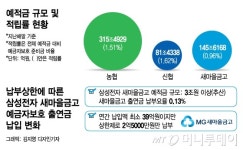 [단독]예·적금 3조인데 출연금 2.5억?…새마을금고의 이상한 예금자보호