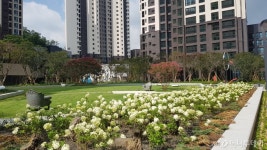 10억 로또 된 개포 랜드마크 디에이치아너힐즈