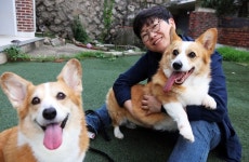 배민 팀장 관두고 창업… 반려동물 포털 만들죠