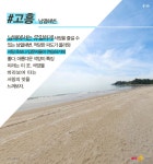 [바다정보다잇다] 우리 바다에서 즐기자! 국내 서핑 스팟 BEST 5