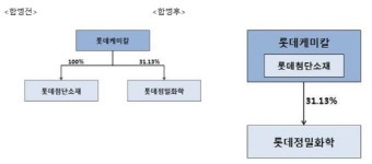 롯데케미칼, 롯데첨단소재 합병 결정…제품 다각화로 글로벌 겨냥