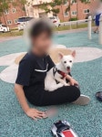 크리스마스에 죽을뻔했다, 이 예쁜 강아지가[체헐리즘 뒷이야기]