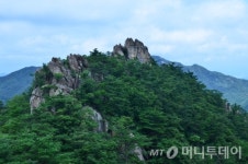 전국 100대 명산 곡성 동악산, 하늘 정원을 품다
