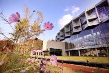 대교, 마이다스 호텔&리조트 가을 프로그램 진행