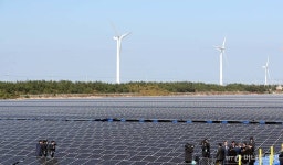 10월부터 녹색요금제…재생에너지 전력 별도로 산다