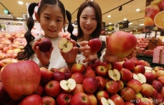 [사진]롯데마트 사과도 미니로 즐기세요