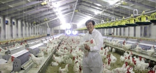 2~3배 비싸도 잘팔려…동물복지 제품 늘었나 했더니