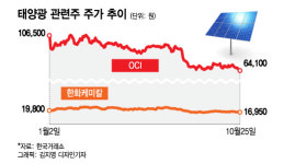 태양광 발전 관련株, 조만간 빛 볼 수 있는 이유
