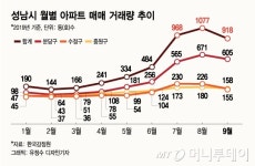 성남에 불붙은 투자열기…분당 아파트 거래도 폭발