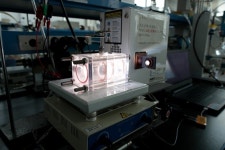 폐목재를 화학물질로…‘태양광·전기·생물촉매 시스템’ 개발