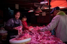 돼지 안키우려는 中...돼지고기값 어쩌나