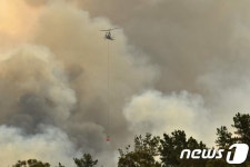 칠레 하늘도 붉어져…호주 산불 연기, 지구 한 바퀴 돈다