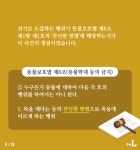 [카드뉴스] 동물 복지 위해 한 걸음 더