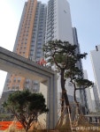 1년만에 7억 올랐다... 신길뉴타운 대장주 위협하는 그곳