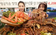 6만2000원→4만7300원 킹크랩 가격 급락, 이유는 신종코로나