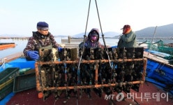 완도군 ‘어업인 걱정 덜어드립니다!’