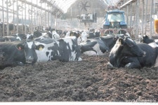 악취없는 축산현장 농촌환경이 바뀐다