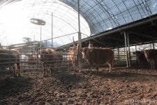 악취없는 축산현장 농촌환경이 바뀐다