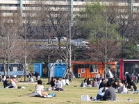 야외라지만…한강공원 돗자리서 도란도란 괜찮을까