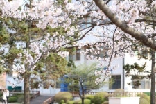 군산대, 대면수업 앞두고 코로나19 예방 총력