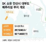 [단독]SK 소유 대부도 메추리섬 주인 바뀌나