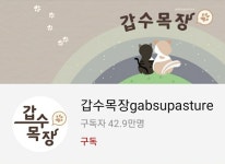 갑수목장의 해명 고양이·개, 펫샵에서 데려온 건 맞지만…
