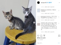 갑수목장, 동물학대 의혹…배우 유승호에 쏟아진 감사