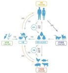 질본, 원헬스 항생제 내성균 다부처 공동대응사업 연보 배포