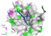 메디케어그룹, 코로나19 변종 억제 신약후보물질 개발 성공
