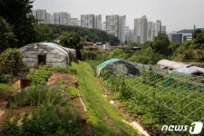 그린벨트 풀린다 강남 내곡동·세곡동 동호수 묻지도 않고 산다