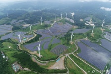국내 최대 태양광숲으로, 한우목장의 변신