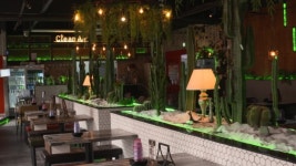 외식업 도전 지호지방시, 친환경 레스토랑 포차끌리네여 오픈