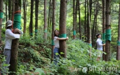 산림청, 코로나19 대응 숲 치유 선별진료소 대응인력도 추가 지원