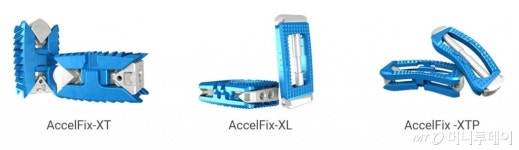 척추세운 엘앤케이바이오, 주가 더 꼿꼿해진다