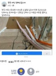 광주 납골당 침수에 맛집…도넘은 지역비하에 부글