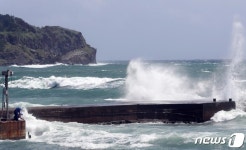 29시간 계속된 대피 명령에도…태풍 바비 따라간 대만 선박