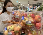 롯데마트, 탁구공 만한 국산 루비에스 사과 판다