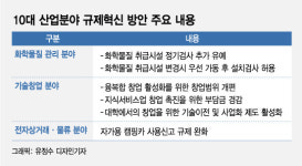 화학설비 선가동·후검사…캠핑카·창업 문턱 낮춘다(종합)