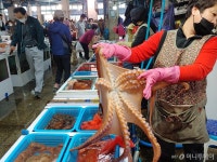 포항 죽도시장, 추석명절 최고 인기 수산물 문어