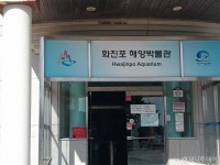 강원도 고성여행, 화진포 생태박물관