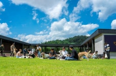 국내 최대 반려견 테마파크 강아지숲, 춘천에 오픈